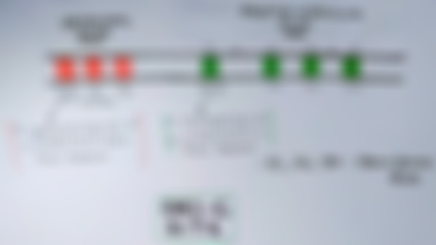 ORI SITE IN PROKARYOTES ( IMAGES FROM LECTURE )