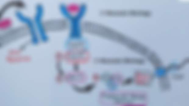 Chemotaxis in Bacteria ( DIAGRAM )