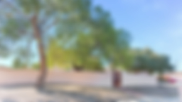 The last late bonus post of December 2018!