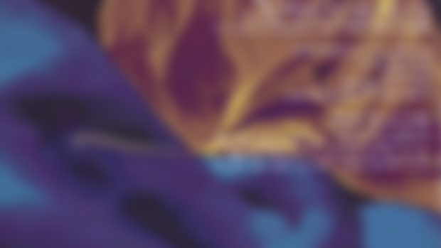 Rewards ($10 and up): "Violet"