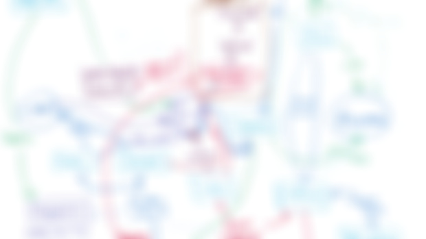 LORE: Merodi Government 