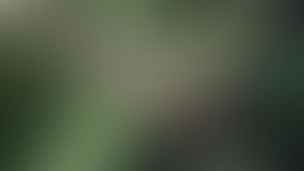 Wandering the jungle naked, like a wild woman should