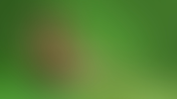 Patties Day Wallpaper