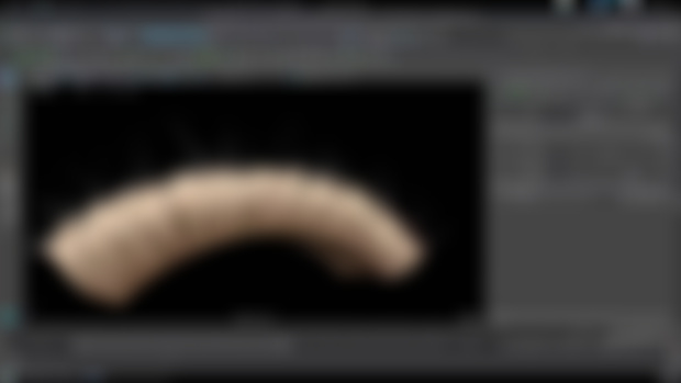 core-xgen - advanced - expressions - long fluff fur