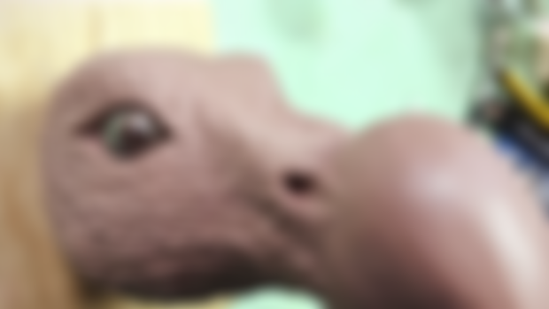 Head no.08??