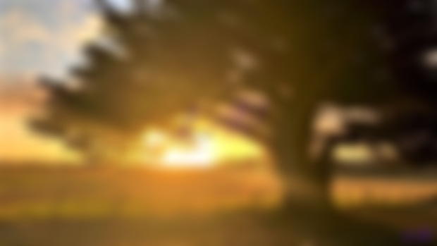 Test Shot