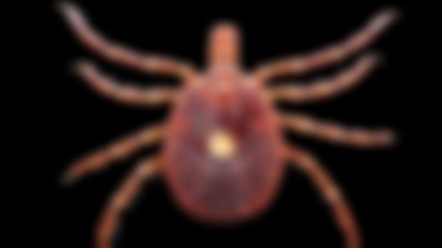 NEW! - Designer proteins and Stem Cells to the rescue, Population declines in USA but Bayer gets sued, Militarized Tic investigation WILL HAPPEN. Canada Blood Tribe deaths