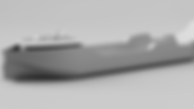 Exclusive Model (professional project)