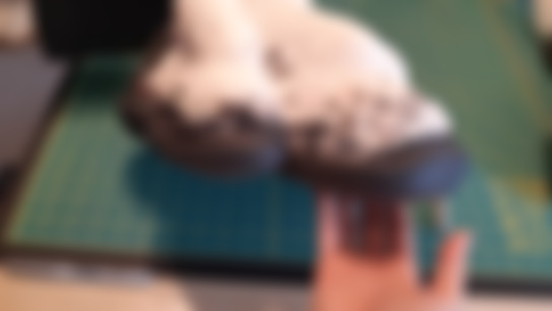 Baylei Experimental Feet - Part 3