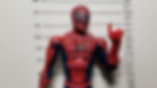 Spider-Mugshot 2