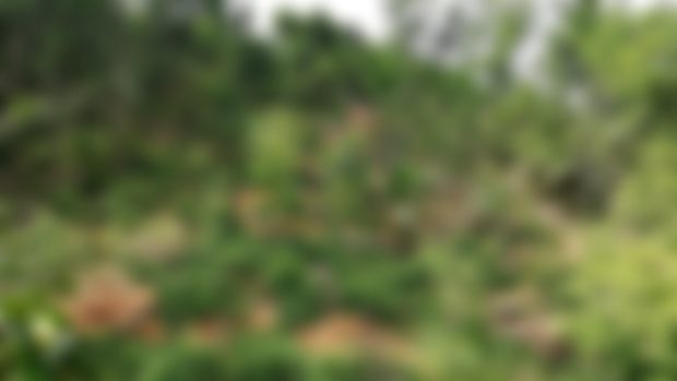Update June 2019