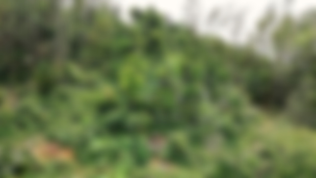 Update October 2019
