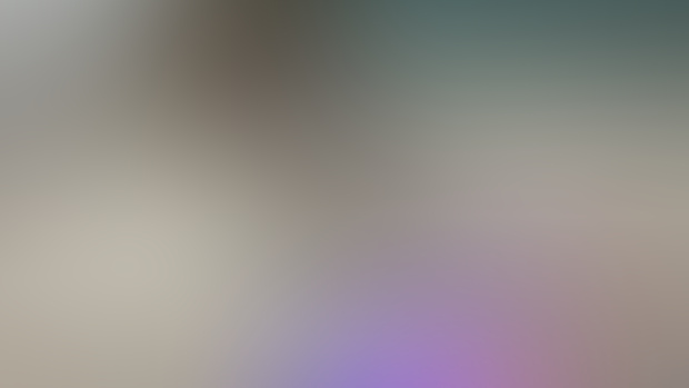 cat and lights
