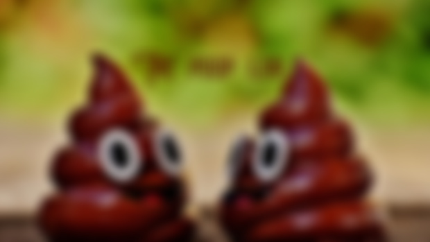 Poop log (!)