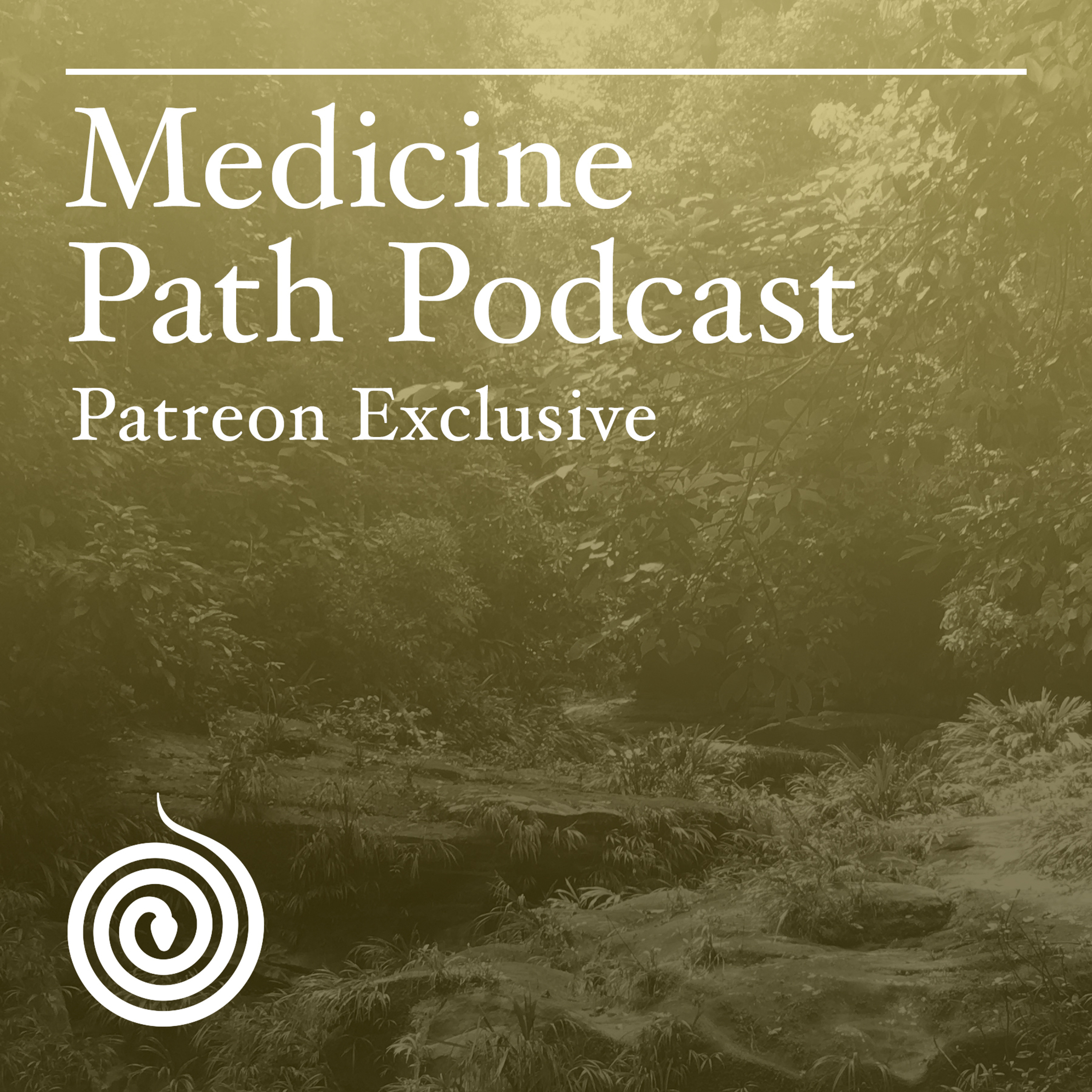 [PREVIEW] Bonus: High Weirdness with author Erik Davis