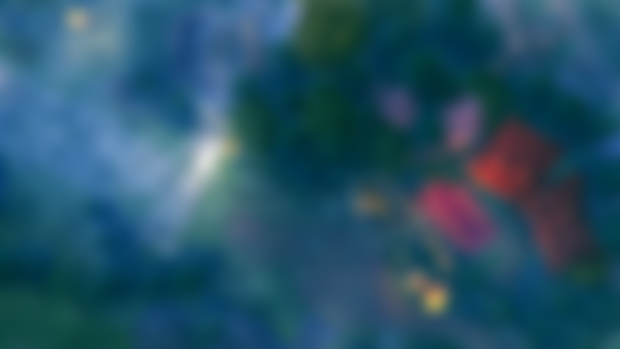 Misty Nights in the Forests - for Peasants