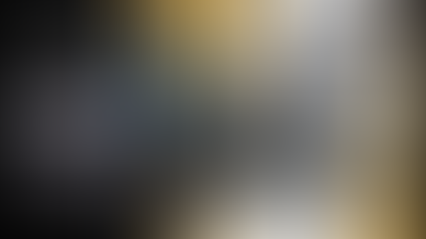 February -Lossless Renders-