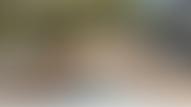Sneak peak of videos 