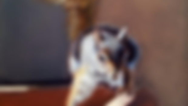 Painting Updates!