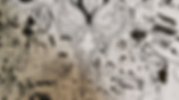 Number 04 preview 