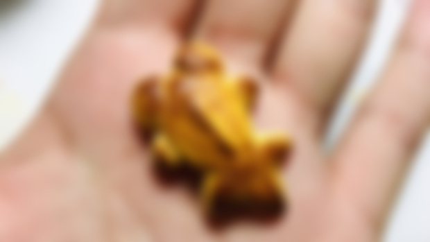 What if...Goldfish Bread?! ✨🍞🐟🍞✨ { WIP Shots + Final product reveal }