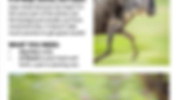 PANNING - eBook Sneak Peak #11