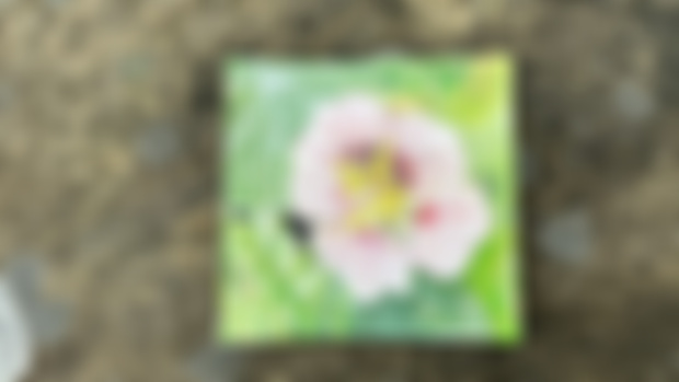 91/100 Nasturtium 