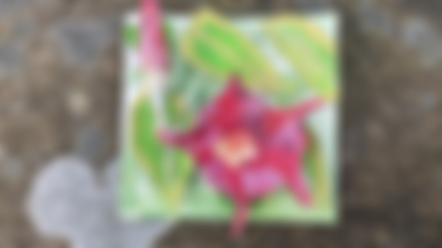 92/100  Mandevilla