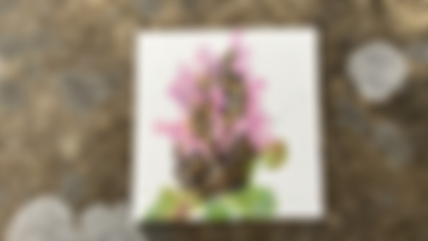 95/100 Justicia flower