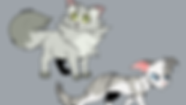 dove and ivy kits/paws