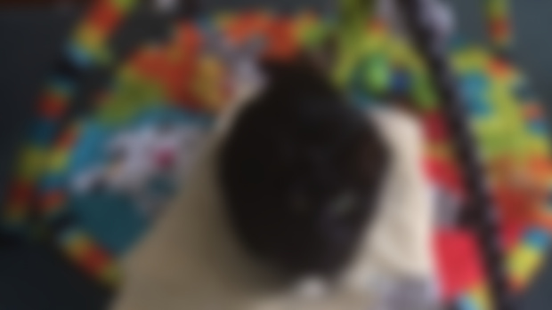 Baby cat
