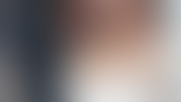 2019 Bundle | extended