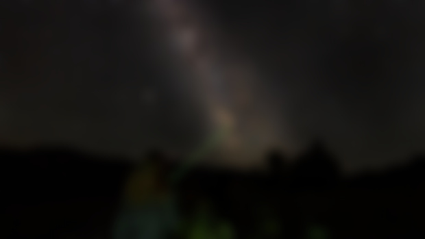 Black Hole Chaser (2020)