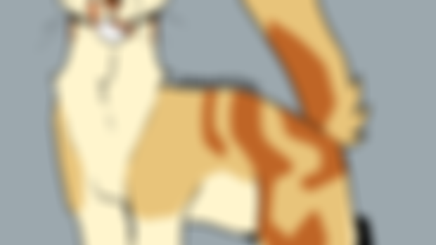 crookedjaw, mapleshade, and willowbreeze