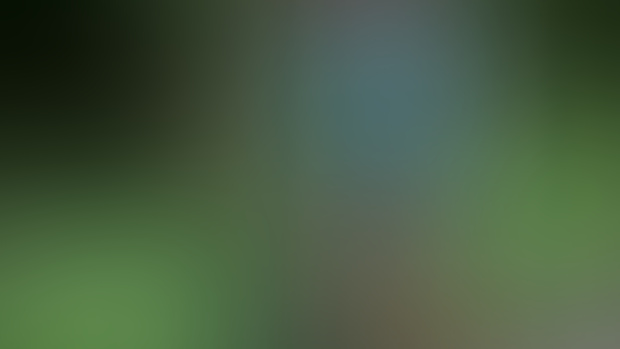 Instagram Preview