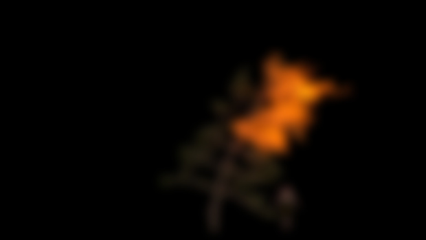 Upcoming Hip file . fire 🔥 