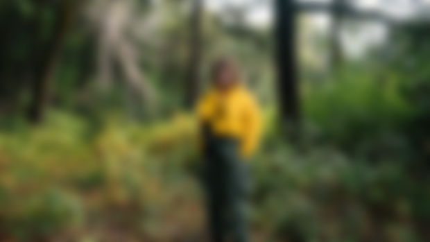 Four million acres and what was meant to burn