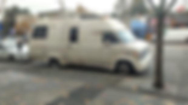 I may have just bought another van
