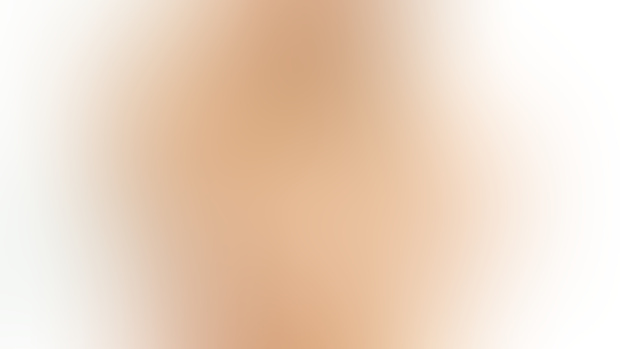 Pamela Anderson Lee/  Playboy Tribute Shoot