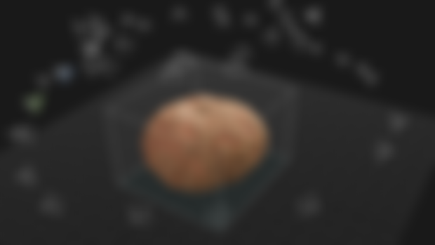 Photogrammetry - Heirloom Pumpkin