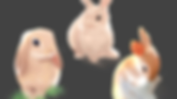 Some Bunnies