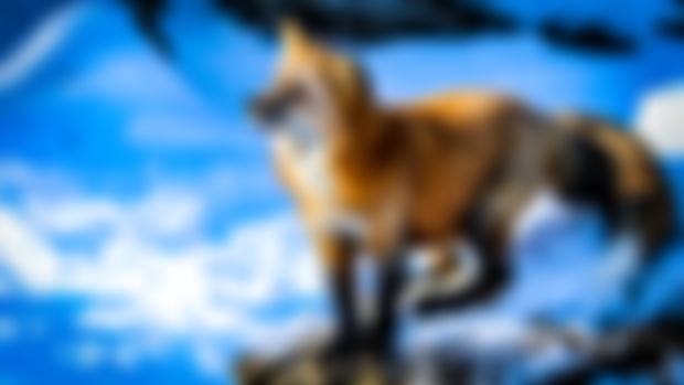 Welcome to my Patreon Channel!