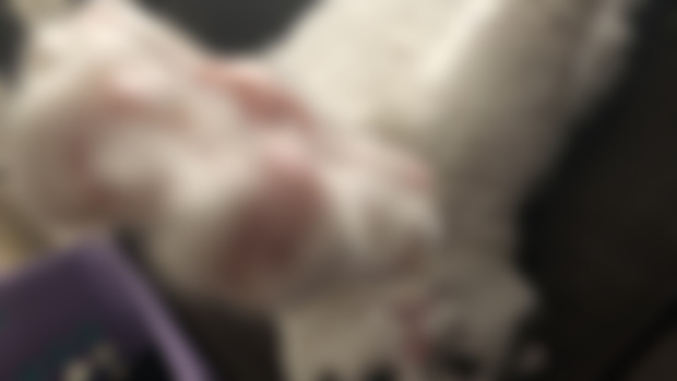 Patreon tier updates