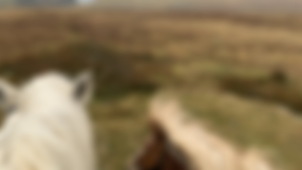 Update blog! 
