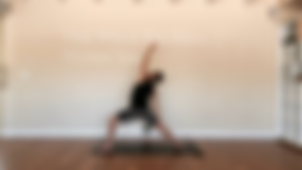 Serpentine Flow - 1 hour intermediate Vinyasa