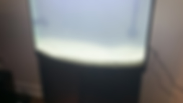 LOOK AT MY SALTWATER TANK!!