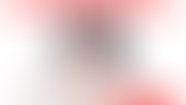 Momoko's Wedding (mid res)