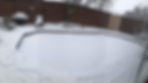 This is what -16°C in Texas looks like!