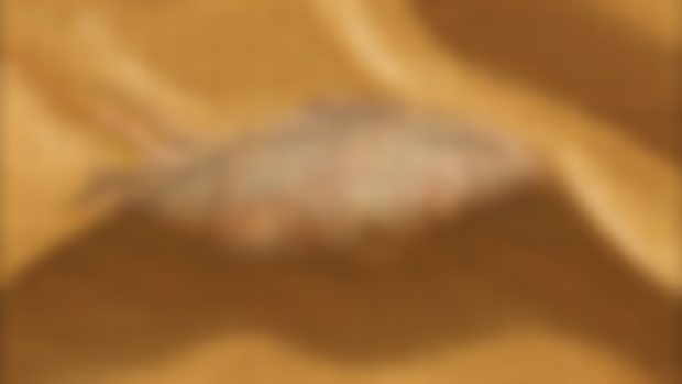 Forgotten Goddess of the Sand - Tavern Hero