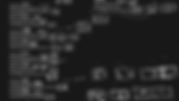 ASMP ANIMATIC (wip)